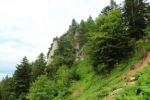 2014-07-05_Laengental-N-Hochweg (915). JPG
